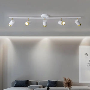 Cassandra Track Llighting Living Room Seus Lighting