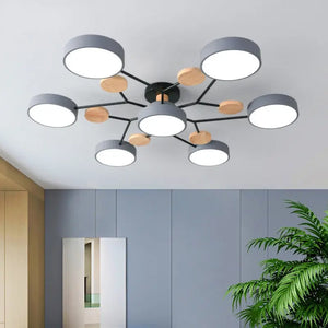 Eileen Living Room Ceiling Lights Seus Lighting