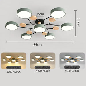 Eileen Living Room Ceiling Lights Seus Lighting