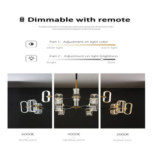 Modern Acrylic Led Chandelier with Remote Control Seus Lighting