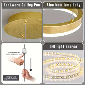 Modern Ring Pendant Light Black/Gold/Brown Seus Lighting