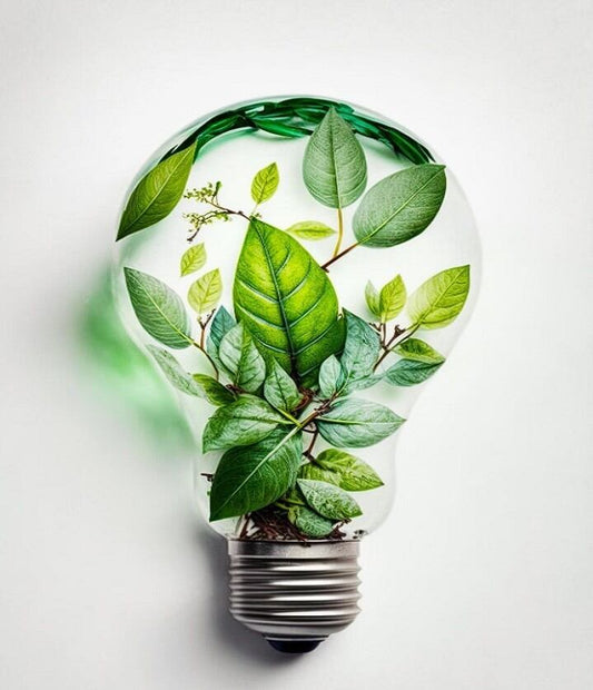 Eco-Friendly Lighting Options – Light Up Your World Responsibly