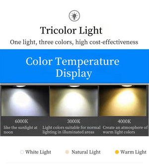 Bidi Multi Light Pendant Chandelier  Seus Lighting