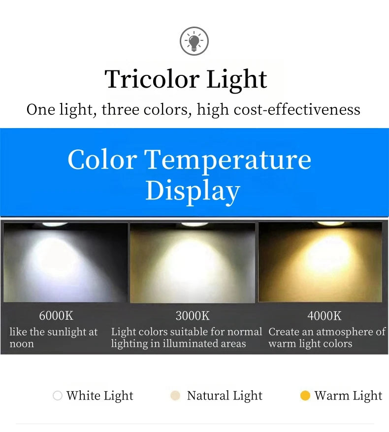 Bidi Multi Light Pendant Chandelier  Seus Lighting