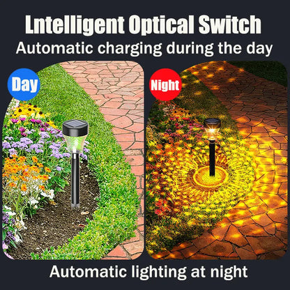 Della Solar Lawn Lighting  Seus Lighting