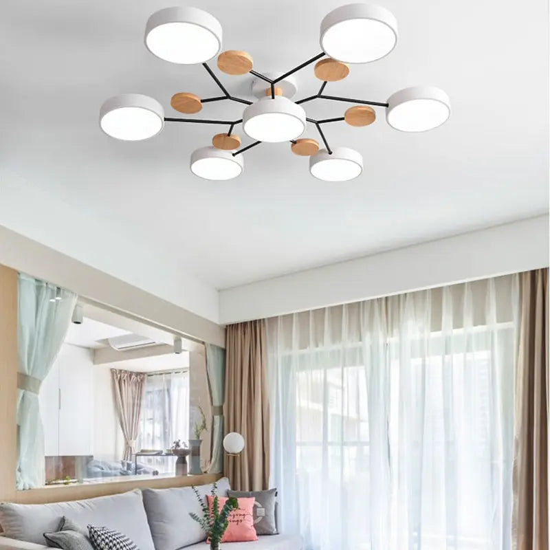 Eileen Living Room Ceiling Lights  Seus Lighting