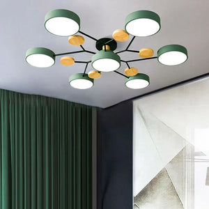 Eileen Living Room Ceiling Lights  Seus Lighting