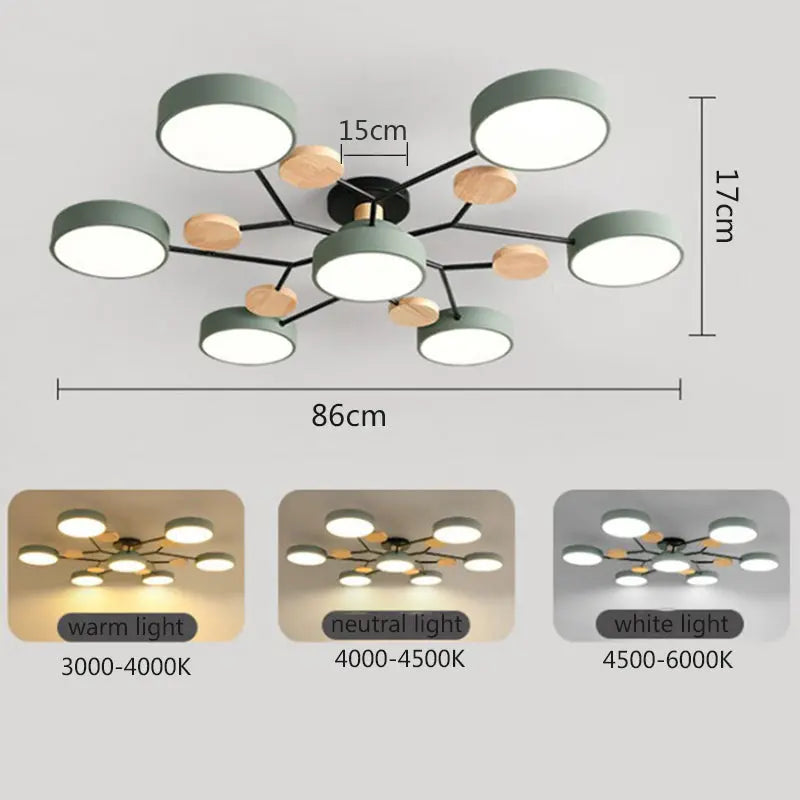 Eileen Living Room Ceiling Lights  Seus Lighting