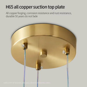 Lexi Modern Acrylic Orb Chandelier  Seus Lighting
